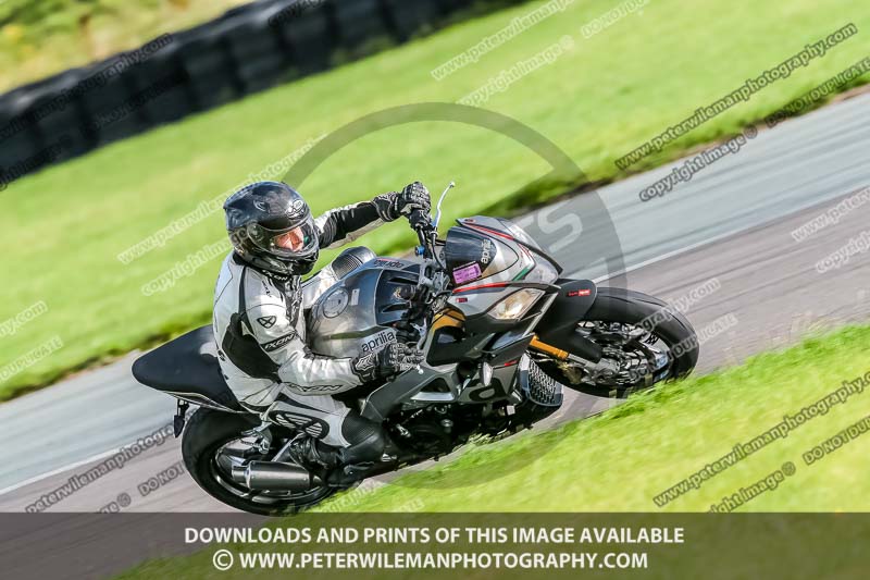 PJ Motorsport;anglesey no limits trackday;anglesey photographs;anglesey trackday photographs;enduro digital images;event digital images;eventdigitalimages;no limits trackdays;peter wileman photography;racing digital images;trac mon;trackday digital images;trackday photos;ty croes