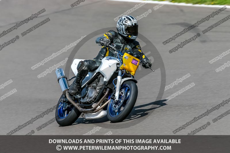 PJ Motorsport;anglesey no limits trackday;anglesey photographs;anglesey trackday photographs;enduro digital images;event digital images;eventdigitalimages;no limits trackdays;peter wileman photography;racing digital images;trac mon;trackday digital images;trackday photos;ty croes