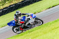 PJ-Motorsport;anglesey-no-limits-trackday;anglesey-photographs;anglesey-trackday-photographs;enduro-digital-images;event-digital-images;eventdigitalimages;no-limits-trackdays;peter-wileman-photography;racing-digital-images;trac-mon;trackday-digital-images;trackday-photos;ty-croes