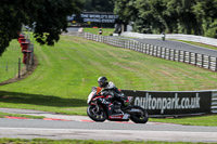 Lower Group Black Bikes