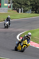 Lower Group Yellow Bikes