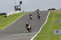 Middle Group Yellow Bikes