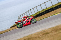 PJ-Motorsport;anglesey;anglesey-no-limits-trackday;anglesey-photographs;anglesey-trackday-photographs;enduro-digital-images;event-digital-images;eventdigitalimages;no-limits-trackdays;peter-wileman-photography;racing-digital-images;trac-mon;trackday-digital-images;trackday-photos;ty-croes