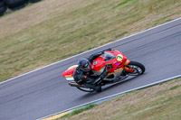 PJ-Motorsport;anglesey;anglesey-no-limits-trackday;anglesey-photographs;anglesey-trackday-photographs;enduro-digital-images;event-digital-images;eventdigitalimages;no-limits-trackdays;peter-wileman-photography;racing-digital-images;trac-mon;trackday-digital-images;trackday-photos;ty-croes