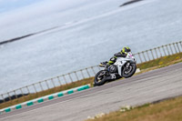 PJ-Motorsport;anglesey;anglesey-no-limits-trackday;anglesey-photographs;anglesey-trackday-photographs;enduro-digital-images;event-digital-images;eventdigitalimages;no-limits-trackdays;peter-wileman-photography;racing-digital-images;trac-mon;trackday-digital-images;trackday-photos;ty-croes