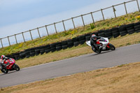 PJ-Motorsport;anglesey;anglesey-no-limits-trackday;anglesey-photographs;anglesey-trackday-photographs;enduro-digital-images;event-digital-images;eventdigitalimages;no-limits-trackdays;peter-wileman-photography;racing-digital-images;trac-mon;trackday-digital-images;trackday-photos;ty-croes