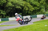 cadwell-no-limits-trackday;cadwell-park;cadwell-park-photographs;cadwell-trackday-photographs;enduro-digital-images;event-digital-images;eventdigitalimages;no-limits-trackdays;peter-wileman-photography;racing-digital-images;trackday-digital-images;trackday-photos