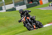 Lower Group Orange Bikes