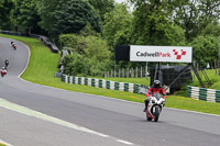 cadwell-no-limits-trackday;cadwell-park;cadwell-park-photographs;cadwell-trackday-photographs;enduro-digital-images;event-digital-images;eventdigitalimages;no-limits-trackdays;peter-wileman-photography;racing-digital-images;trackday-digital-images;trackday-photos