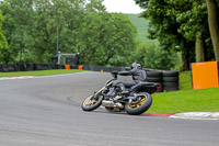 Middle Group Black Bikes