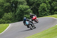 cadwell-no-limits-trackday;cadwell-park;cadwell-park-photographs;cadwell-trackday-photographs;enduro-digital-images;event-digital-images;eventdigitalimages;no-limits-trackdays;peter-wileman-photography;racing-digital-images;trackday-digital-images;trackday-photos