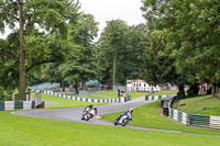 cadwell-no-limits-trackday;cadwell-park;cadwell-park-photographs;cadwell-trackday-photographs;enduro-digital-images;event-digital-images;eventdigitalimages;no-limits-trackdays;peter-wileman-photography;racing-digital-images;trackday-digital-images;trackday-photos