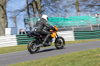 Lower Group Orange Bikes