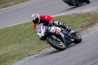 anglesey-no-limits-trackday;anglesey-photographs;anglesey-trackday-photographs;enduro-digital-images;event-digital-images;eventdigitalimages;no-limits-trackdays;peter-wileman-photography;racing-digital-images;trac-mon;trackday-digital-images;trackday-photos;ty-croes