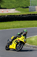 Lower Group Yellow Bikes