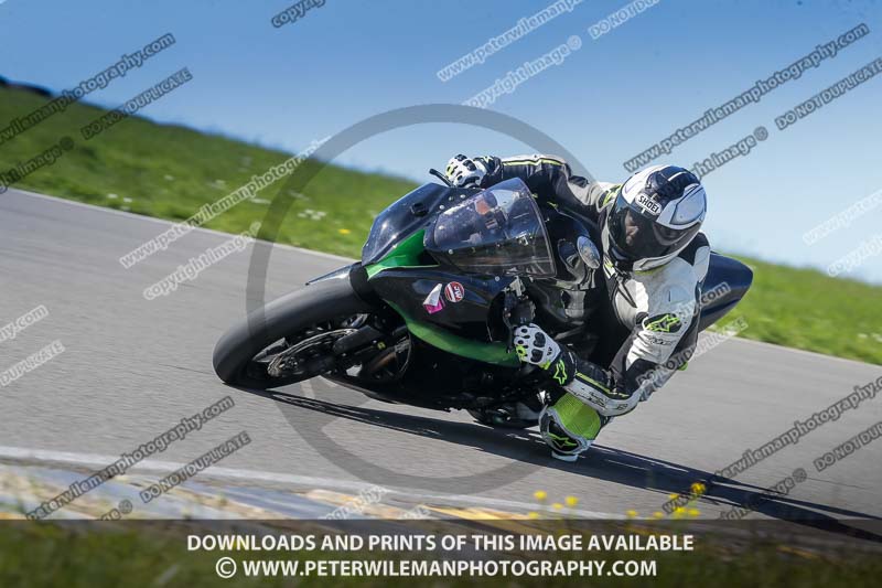 anglesey no limits trackday;anglesey photographs;anglesey trackday photographs;enduro digital images;event digital images;eventdigitalimages;no limits trackdays;peter wileman photography;racing digital images;trac mon;trackday digital images;trackday photos;ty croes