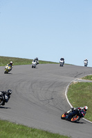 anglesey-no-limits-trackday;anglesey-photographs;anglesey-trackday-photographs;enduro-digital-images;event-digital-images;eventdigitalimages;no-limits-trackdays;peter-wileman-photography;racing-digital-images;trac-mon;trackday-digital-images;trackday-photos;ty-croes