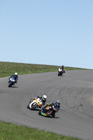 anglesey-no-limits-trackday;anglesey-photographs;anglesey-trackday-photographs;enduro-digital-images;event-digital-images;eventdigitalimages;no-limits-trackdays;peter-wileman-photography;racing-digital-images;trac-mon;trackday-digital-images;trackday-photos;ty-croes