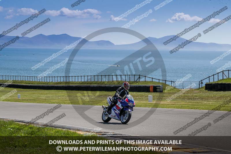 anglesey no limits trackday;anglesey photographs;anglesey trackday photographs;enduro digital images;event digital images;eventdigitalimages;no limits trackdays;peter wileman photography;racing digital images;trac mon;trackday digital images;trackday photos;ty croes