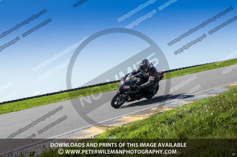 anglesey no limits trackday;anglesey photographs;anglesey trackday photographs;enduro digital images;event digital images;eventdigitalimages;no limits trackdays;peter wileman photography;racing digital images;trac mon;trackday digital images;trackday photos;ty croes