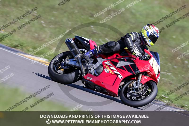 anglesey no limits trackday;anglesey photographs;anglesey trackday photographs;enduro digital images;event digital images;eventdigitalimages;no limits trackdays;peter wileman photography;racing digital images;trac mon;trackday digital images;trackday photos;ty croes