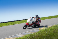 anglesey-no-limits-trackday;anglesey-photographs;anglesey-trackday-photographs;enduro-digital-images;event-digital-images;eventdigitalimages;no-limits-trackdays;peter-wileman-photography;racing-digital-images;trac-mon;trackday-digital-images;trackday-photos;ty-croes