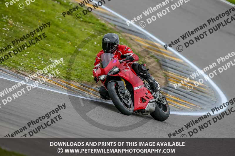 PJM Photography;anglesey no limits trackday;anglesey photographs;anglesey trackday photographs;enduro digital images;event digital images;eventdigitalimages;no limits trackdays;peter wileman photography;racing digital images;trac mon;trackday digital images;trackday photos;ty croes