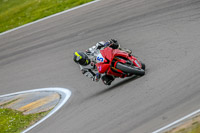 PJM-Photography;anglesey-no-limits-trackday;anglesey-photographs;anglesey-trackday-photographs;enduro-digital-images;event-digital-images;eventdigitalimages;no-limits-trackdays;peter-wileman-photography;racing-digital-images;trac-mon;trackday-digital-images;trackday-photos;ty-croes