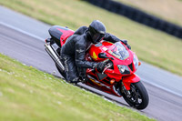 PJM-Photography;anglesey-no-limits-trackday;anglesey-photographs;anglesey-trackday-photographs;enduro-digital-images;event-digital-images;eventdigitalimages;no-limits-trackdays;peter-wileman-photography;racing-digital-images;trac-mon;trackday-digital-images;trackday-photos;ty-croes