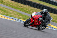 PJM-Photography;anglesey-no-limits-trackday;anglesey-photographs;anglesey-trackday-photographs;enduro-digital-images;event-digital-images;eventdigitalimages;no-limits-trackdays;peter-wileman-photography;racing-digital-images;trac-mon;trackday-digital-images;trackday-photos;ty-croes