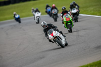 PJM-Photography;anglesey-no-limits-trackday;anglesey-photographs;anglesey-trackday-photographs;enduro-digital-images;event-digital-images;eventdigitalimages;no-limits-trackdays;peter-wileman-photography;racing-digital-images;trac-mon;trackday-digital-images;trackday-photos;ty-croes