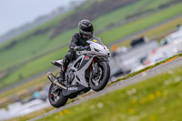 PJM-Photography;anglesey-no-limits-trackday;anglesey-photographs;anglesey-trackday-photographs;enduro-digital-images;event-digital-images;eventdigitalimages;no-limits-trackdays;peter-wileman-photography;racing-digital-images;trac-mon;trackday-digital-images;trackday-photos;ty-croes