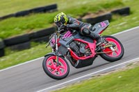 PJM-Photography;anglesey-no-limits-trackday;anglesey-photographs;anglesey-trackday-photographs;enduro-digital-images;event-digital-images;eventdigitalimages;no-limits-trackdays;peter-wileman-photography;racing-digital-images;trac-mon;trackday-digital-images;trackday-photos;ty-croes