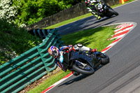 cadwell-no-limits-trackday;cadwell-park;cadwell-park-photographs;cadwell-trackday-photographs;enduro-digital-images;event-digital-images;eventdigitalimages;no-limits-trackdays;peter-wileman-photography;racing-digital-images;trackday-digital-images;trackday-photos