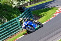 cadwell-no-limits-trackday;cadwell-park;cadwell-park-photographs;cadwell-trackday-photographs;enduro-digital-images;event-digital-images;eventdigitalimages;no-limits-trackdays;peter-wileman-photography;racing-digital-images;trackday-digital-images;trackday-photos