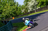 cadwell-no-limits-trackday;cadwell-park;cadwell-park-photographs;cadwell-trackday-photographs;enduro-digital-images;event-digital-images;eventdigitalimages;no-limits-trackdays;peter-wileman-photography;racing-digital-images;trackday-digital-images;trackday-photos