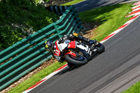 cadwell-no-limits-trackday;cadwell-park;cadwell-park-photographs;cadwell-trackday-photographs;enduro-digital-images;event-digital-images;eventdigitalimages;no-limits-trackdays;peter-wileman-photography;racing-digital-images;trackday-digital-images;trackday-photos