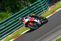 cadwell-no-limits-trackday;cadwell-park;cadwell-park-photographs;cadwell-trackday-photographs;enduro-digital-images;event-digital-images;eventdigitalimages;no-limits-trackdays;peter-wileman-photography;racing-digital-images;trackday-digital-images;trackday-photos