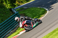 cadwell-no-limits-trackday;cadwell-park;cadwell-park-photographs;cadwell-trackday-photographs;enduro-digital-images;event-digital-images;eventdigitalimages;no-limits-trackdays;peter-wileman-photography;racing-digital-images;trackday-digital-images;trackday-photos