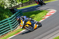 cadwell-no-limits-trackday;cadwell-park;cadwell-park-photographs;cadwell-trackday-photographs;enduro-digital-images;event-digital-images;eventdigitalimages;no-limits-trackdays;peter-wileman-photography;racing-digital-images;trackday-digital-images;trackday-photos