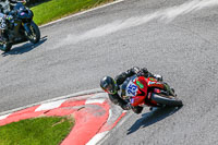 cadwell-no-limits-trackday;cadwell-park;cadwell-park-photographs;cadwell-trackday-photographs;enduro-digital-images;event-digital-images;eventdigitalimages;no-limits-trackdays;peter-wileman-photography;racing-digital-images;trackday-digital-images;trackday-photos