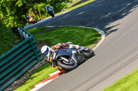 cadwell-no-limits-trackday;cadwell-park;cadwell-park-photographs;cadwell-trackday-photographs;enduro-digital-images;event-digital-images;eventdigitalimages;no-limits-trackdays;peter-wileman-photography;racing-digital-images;trackday-digital-images;trackday-photos