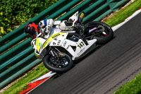 cadwell-no-limits-trackday;cadwell-park;cadwell-park-photographs;cadwell-trackday-photographs;enduro-digital-images;event-digital-images;eventdigitalimages;no-limits-trackdays;peter-wileman-photography;racing-digital-images;trackday-digital-images;trackday-photos