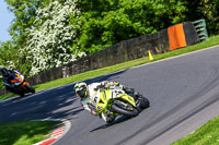 cadwell-no-limits-trackday;cadwell-park;cadwell-park-photographs;cadwell-trackday-photographs;enduro-digital-images;event-digital-images;eventdigitalimages;no-limits-trackdays;peter-wileman-photography;racing-digital-images;trackday-digital-images;trackday-photos