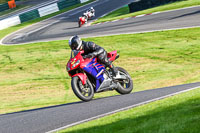 cadwell-no-limits-trackday;cadwell-park;cadwell-park-photographs;cadwell-trackday-photographs;enduro-digital-images;event-digital-images;eventdigitalimages;no-limits-trackdays;peter-wileman-photography;racing-digital-images;trackday-digital-images;trackday-photos