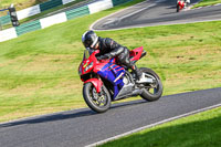 cadwell-no-limits-trackday;cadwell-park;cadwell-park-photographs;cadwell-trackday-photographs;enduro-digital-images;event-digital-images;eventdigitalimages;no-limits-trackdays;peter-wileman-photography;racing-digital-images;trackday-digital-images;trackday-photos