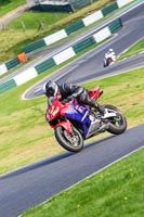 cadwell-no-limits-trackday;cadwell-park;cadwell-park-photographs;cadwell-trackday-photographs;enduro-digital-images;event-digital-images;eventdigitalimages;no-limits-trackdays;peter-wileman-photography;racing-digital-images;trackday-digital-images;trackday-photos