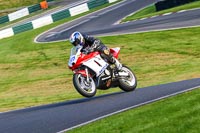 cadwell-no-limits-trackday;cadwell-park;cadwell-park-photographs;cadwell-trackday-photographs;enduro-digital-images;event-digital-images;eventdigitalimages;no-limits-trackdays;peter-wileman-photography;racing-digital-images;trackday-digital-images;trackday-photos