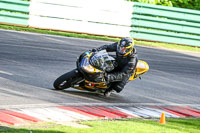 cadwell-no-limits-trackday;cadwell-park;cadwell-park-photographs;cadwell-trackday-photographs;enduro-digital-images;event-digital-images;eventdigitalimages;no-limits-trackdays;peter-wileman-photography;racing-digital-images;trackday-digital-images;trackday-photos