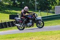 cadwell-no-limits-trackday;cadwell-park;cadwell-park-photographs;cadwell-trackday-photographs;enduro-digital-images;event-digital-images;eventdigitalimages;no-limits-trackdays;peter-wileman-photography;racing-digital-images;trackday-digital-images;trackday-photos